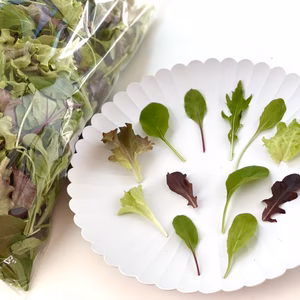 【大容量お得パック】ベビーリーフ