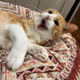 まひろん