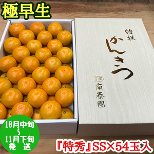 果物の極早生みかんの商品一覧(2ページ目)|ポケットマルシェ|産直 ...