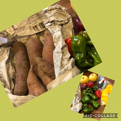 みんなの投稿の画像