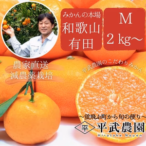有田みかん｜早生みかん　M 2Kg～　平武農園