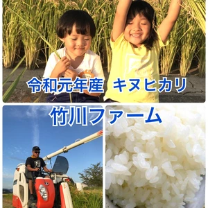 新米！令和元年淡路島産キヌヒカリ100％！玄米！10キロ