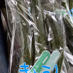 無農薬野菜　きゅうり