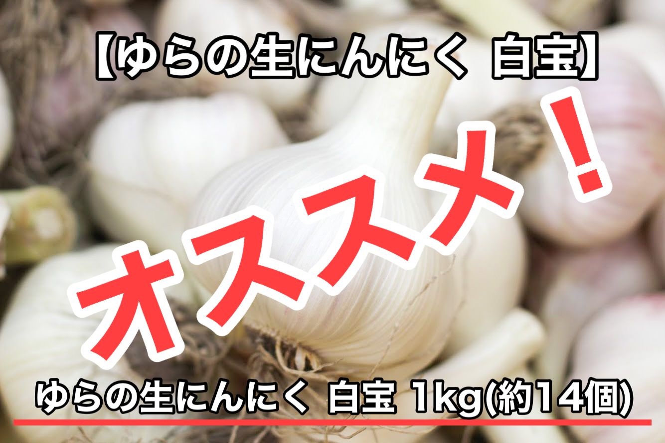 今が旬 ゆらの生にんにく 白宝 皮まで美味しい 農家漁師から産地直送の通販 ポケットマルシェ