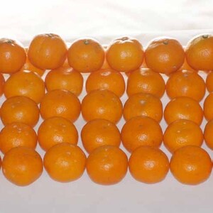 【訳あり)】温州ミカン中粒（糖度6度）5kg