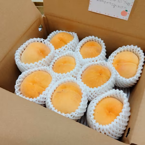 【訳ありはね桃！】黄金桃2kg