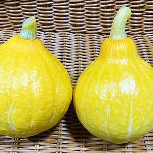 柔らかく、生で食べられる！コリンキー