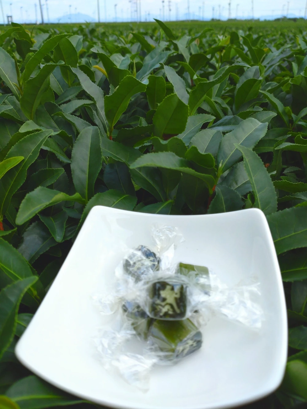 『送料込・おまけ付』水でもお湯でも深蒸し一番粉茶ティーバッグ 5ｇ×20ｐ2袋