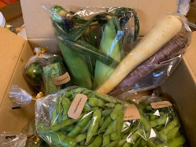 みんなの投稿の画像