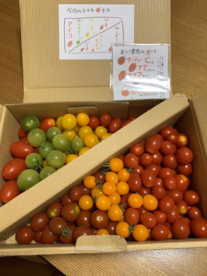 みんなの投稿の画像