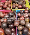 本当に加工用！！《6月発送 》パッションフルーツ３kg