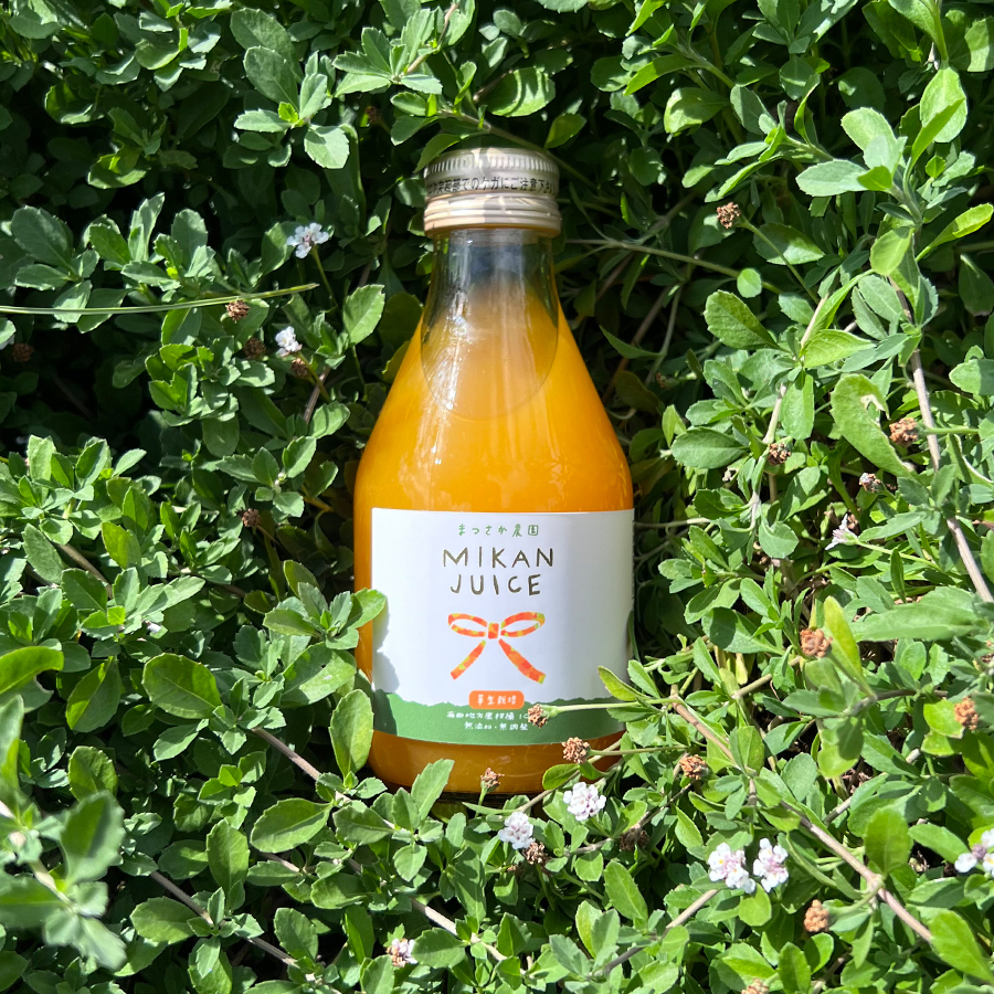 まつさか農園の温州みかんジュース 180ml11本入り