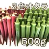 【川上農園】２色 新鮮オクラ食べ比べセット✨ 味よし！彩りよし！ 500g 