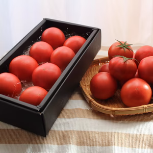 【極上】【果実の味わい】甘みとうま味が濃縮水切 高糖度フルーツトマト