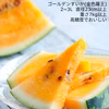 【予約受付】尾花沢すいか『金色羅王』2~3L  糖度15度以上の極甘
