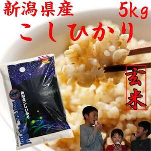 コシヒカリデラックス5kg(玄米) 　令和二年産