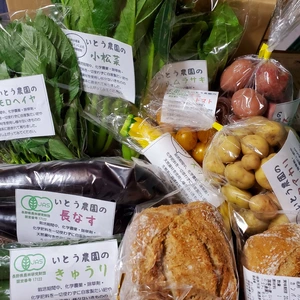JAS有機☆特栽夏秋野菜とカンパーニュと米粉を☆信州諏訪湖からクールでお届け