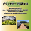 【大容量】猿島茶 水出しほうじ茶 お茶 5g×100 