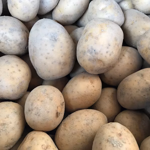 【農薬・除草剤不使用】じゃがいも（ニシユタカ）　3㎏　