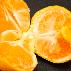 薄皮濃い濃いみかん 中玉サイズ 予約価格