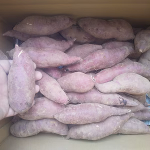 小さい紅はるか(京都産) ひとつ80～150g