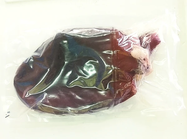 【値下げしました！】浜茹でタコ　頭　2.2Kg 北海道寿都産