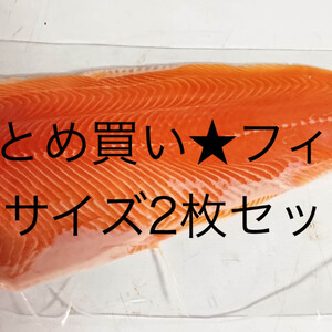 まとめ買いでお得★【天然】ビワマス急速冷凍フィレ！ 切るだけ簡単刺身用！