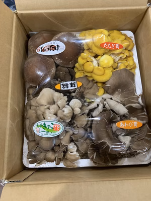 みんなの投稿の画像