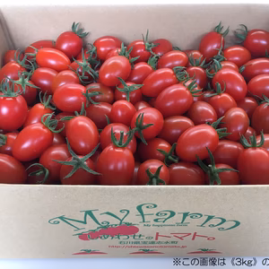 【商品移動しました】【栽培期間中農薬不使用】高糖度しあわせのトマト