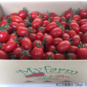 【商品移動しました】【栽培期間中農薬不使用】高糖度しあわせのトマト