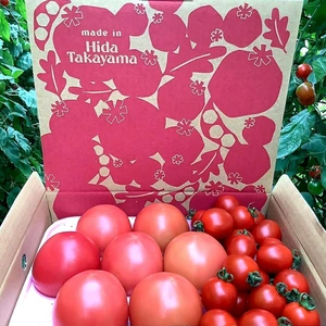 1週間をこのトマトで乗り切ろう❗️秋の大玉トマト7玉とミニトマトのセット