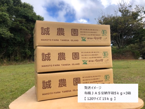 オーガニック種子島安納いも15ｋｇ｜MIXサイズ（有機認証）