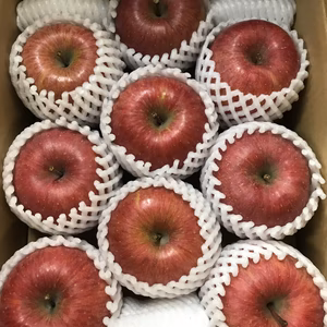 青森県産りんご「サンふじ」家庭用・キズ有 約3kg【フルーツキャップ】