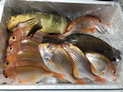 みんなの投稿の画像