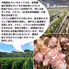 【送料込】紅きくいもチップス｜沖縄産（無農薬）