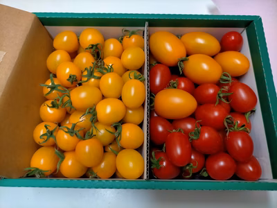 みんなの投稿の画像