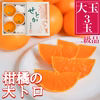 【二級品／ハーフ化粧箱】『柑橘の大トロ』ハウスせとか大玉3玉入（約1kg）