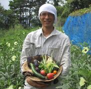 里芋 自然栽培 無除草剤 無肥料 無農薬 農家漁師から産地直送の通販 ポケットマルシェ