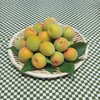 中熟・南高　M～２Lサイズ（中～大粒／梅干し・梅酒など）