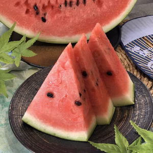 【4月20日から順次発送】熊本県植木産スイカ！！小玉スイカ（ひとりじめ）