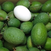 【農薬不使用】無農薬フェイジョア　不思議な味 