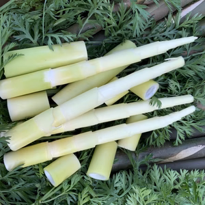 【人気の組み合わせ！】ﾘｭｳｷｭｳﾁｸ(1キロ)とかぼちゃ2個セット