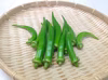甘みのある美味しい丸オクラ（エメラルド）　農薬不使用（無農薬）栽培