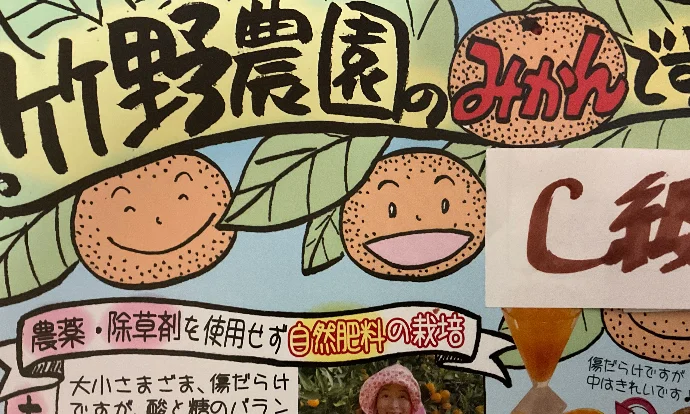だいだい.12/5～　橙B級無農薬　自然肥料除草剤不使用家庭用　わけあり