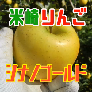 【米崎りんご】シナノゴールド　酸味と甘みのバランス絶妙～！