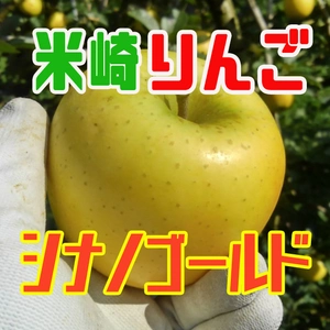 【米崎りんご】シナノゴールド　酸味と甘みのバランス絶妙～！