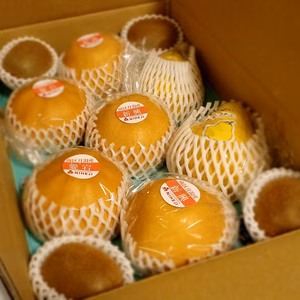 冬の味覚セット③　特大レクチェ、大玉新興・愛宕、完熟キウイ