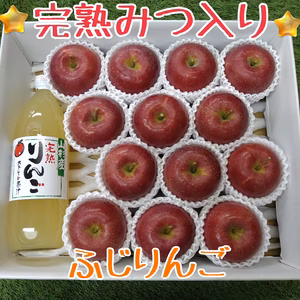 ★完熟みつ入り★ふじりんご(秀品)＆令和元年産ふじりんごジュース【5kg箱詰め】