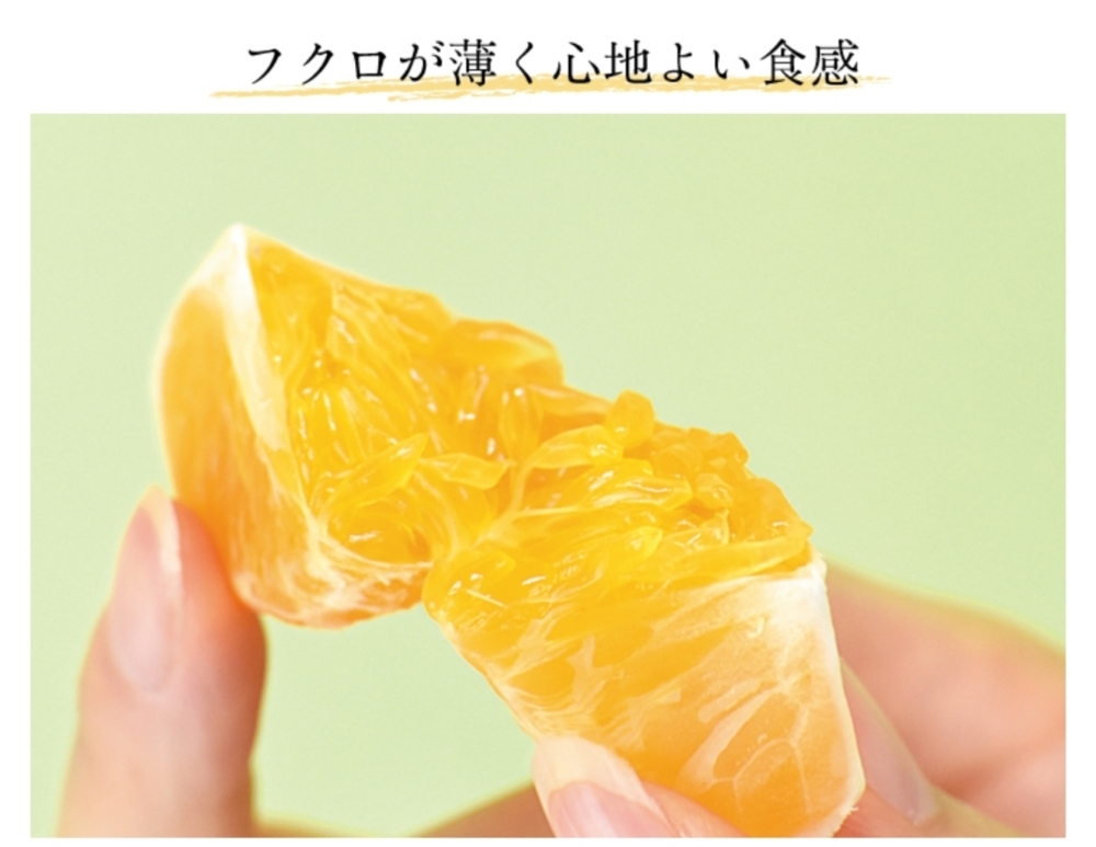 10月予約【先行限定】初採り新品種 YN26みかん「甘々娘」｜みかんの