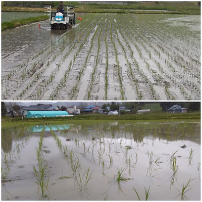 みんなの投稿の画像